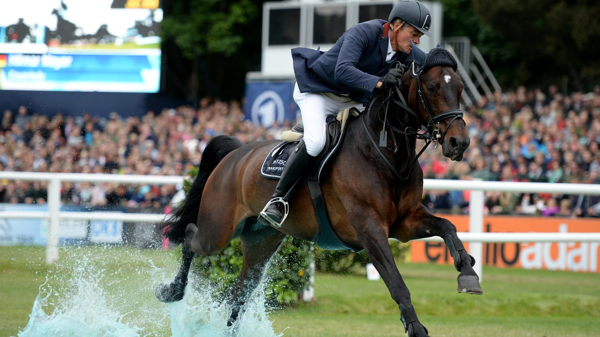 Ein neues Virus bedroht den Reitsport: Nach dem Herpes-Ausbruch bei einer Turnierserie in Valencia sind bisher drei Pferde aus deutschen Turnierställen gestorben. Ein neues Virus bedroht den Reitsport: Nach dem Herpes-Ausbruch bei einer Turnierserie in Valencia sind bisher drei Pferde aus deutschen Turnierställen gestorben.