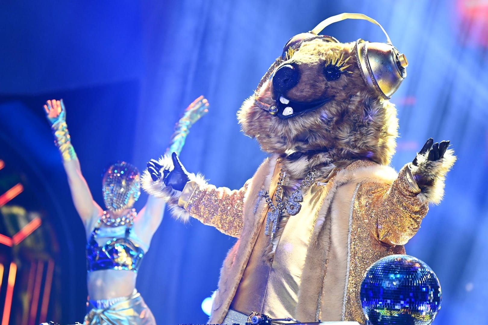 Das Quokka: Unter der Maske steckte ein Schauspieler.