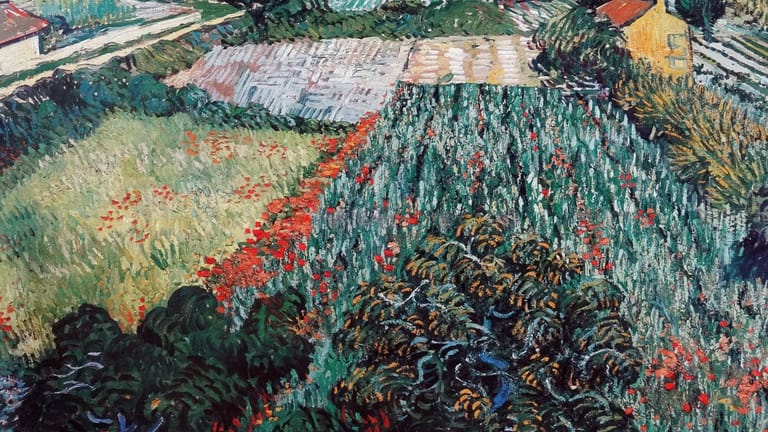 Vincent van Gogh (1853–1890): Sein "Mohnfeld" malte er im Juni 1889. Es befand sich außerhalb der Heilanstalt im provenzalischen Saint-Rémy, in der er sich aufhielt.