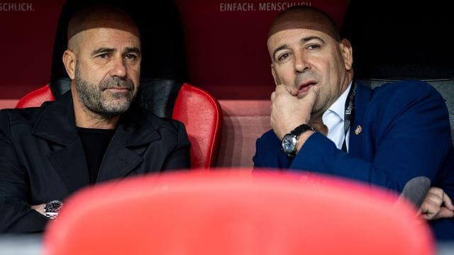 Stärkt Trainer Peter Bosz (l) den Rücken: Fernando Carro, Vorsitzender der Geschäftsführung bei Bayer Leverkusen. Stärkt Trainer Peter Bosz (l) den Rücken: Fernando Carro, Vorsitzender der Geschäftsführung bei Bayer Leverkusen.