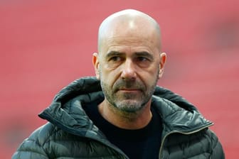Muss in Leverkusen "liefern": Bayer-Coach Peter Bosz.