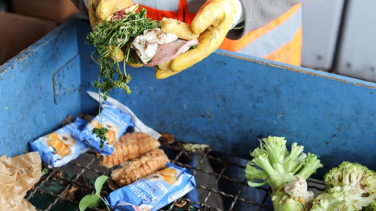 Lebensmittel im Müll: In Privathaushalten werden besonders viele Lebensmittel weggeworfen.