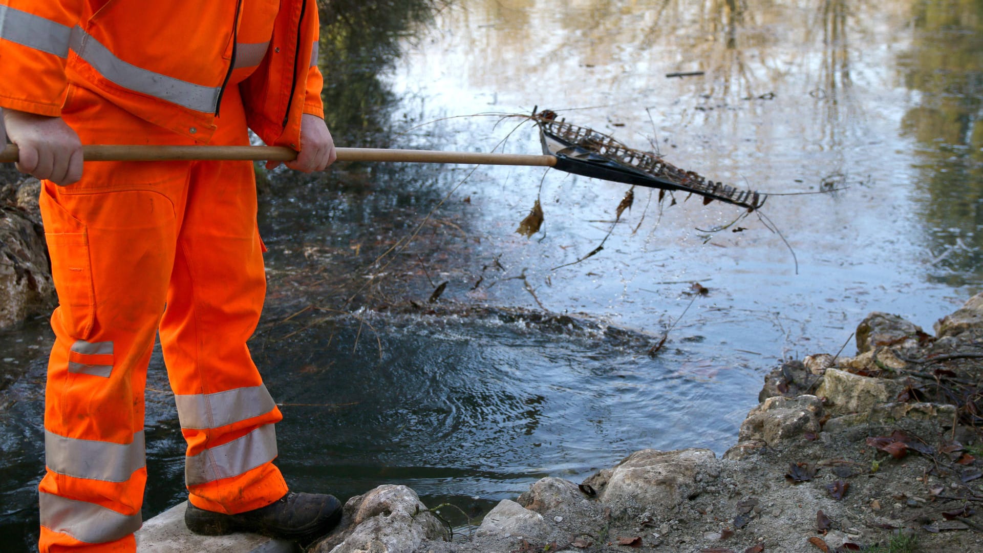 Ein Mann reinigt einen Weiher mit einer Harke (Symbolbild): Die Reinigung des Godesberger Weihers beginnt. Ein Mann reinigt einen Weiher mit einer Harke (Symbolbild): Die Reinigung des Godesberger Weihers beginnt.