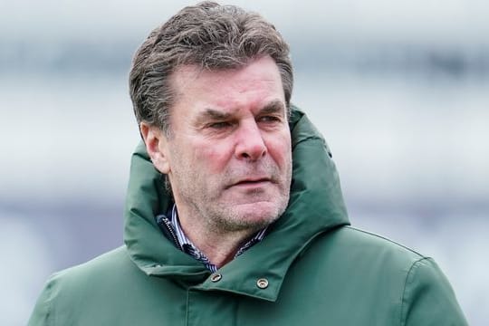 War bei Gladbach Vorgänger von Trainer Marco Rose: Dieter Hecking.