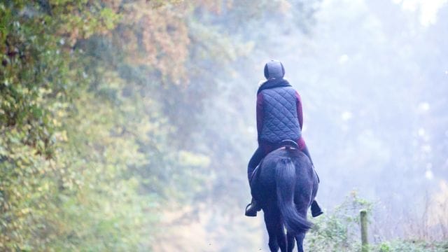 Wer ein Pferd auf dem Fahrrad überholen will, sollte mindestens 1,5 bis 2 Meter Abstand halten.