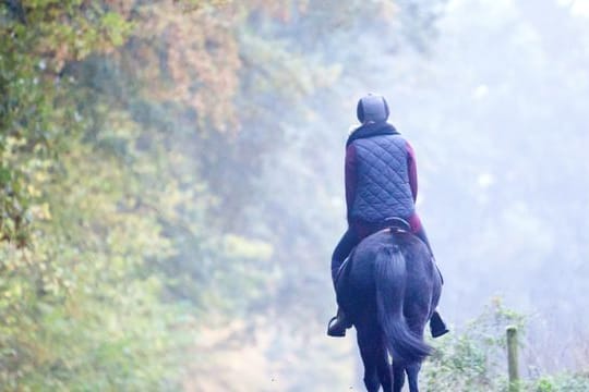 Wer ein Pferd auf dem Fahrrad überholen will, sollte mindestens 1,5 bis 2 Meter Abstand halten.