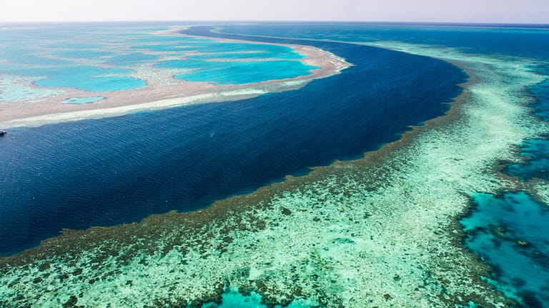 Great Barrier Reef: 2002 wurde das schlimmste Korallensterben aller Zeiten verzeichnet.