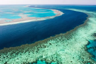 Great Barrier Reef: 2002 wurde das schlimmste Korallensterben aller Zeiten verzeichnet.
