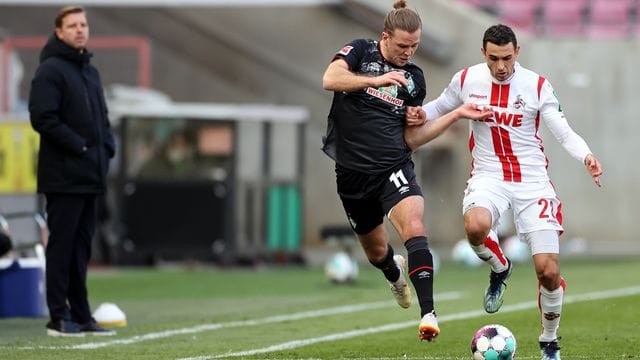 Bremens Stürmer Niclas Füllkrug und Kölns Mittelfeldspieler Ellyes Skhiri kämpfen an der Seitenauslinie, vor den Augen von Werder-Coach Kohfeldt, um den Ball. Bremens Stürmer Niclas Füllkrug und Kölns Mittelfeldspieler Ellyes Skhiri kämpfen an der Seitenauslinie, vor den Augen von Werder-Coach Kohfeldt, um den Ball.
