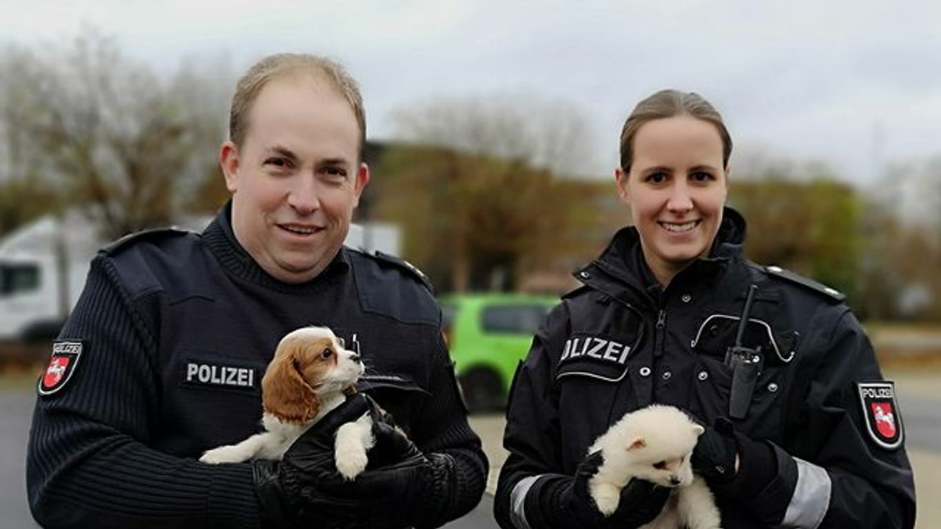 Polizeikommissarin Farina Nolde und Polizeikommissar Torsten Schrader halten während eines Polizeieinsatzes in Lahe zwei Hundewelpen.