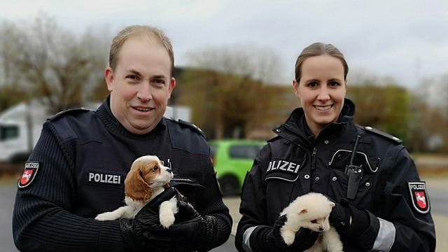 Polizeikommissarin Farina Nolde und Polizeikommissar Torsten Schrader halten während eines Polizeieinsatzes in Lahe zwei Hundewelpen. Polizeikommissarin Farina Nolde und Polizeikommissar Torsten Schrader halten während eines Polizeieinsatzes in Lahe zwei Hundewelpen.