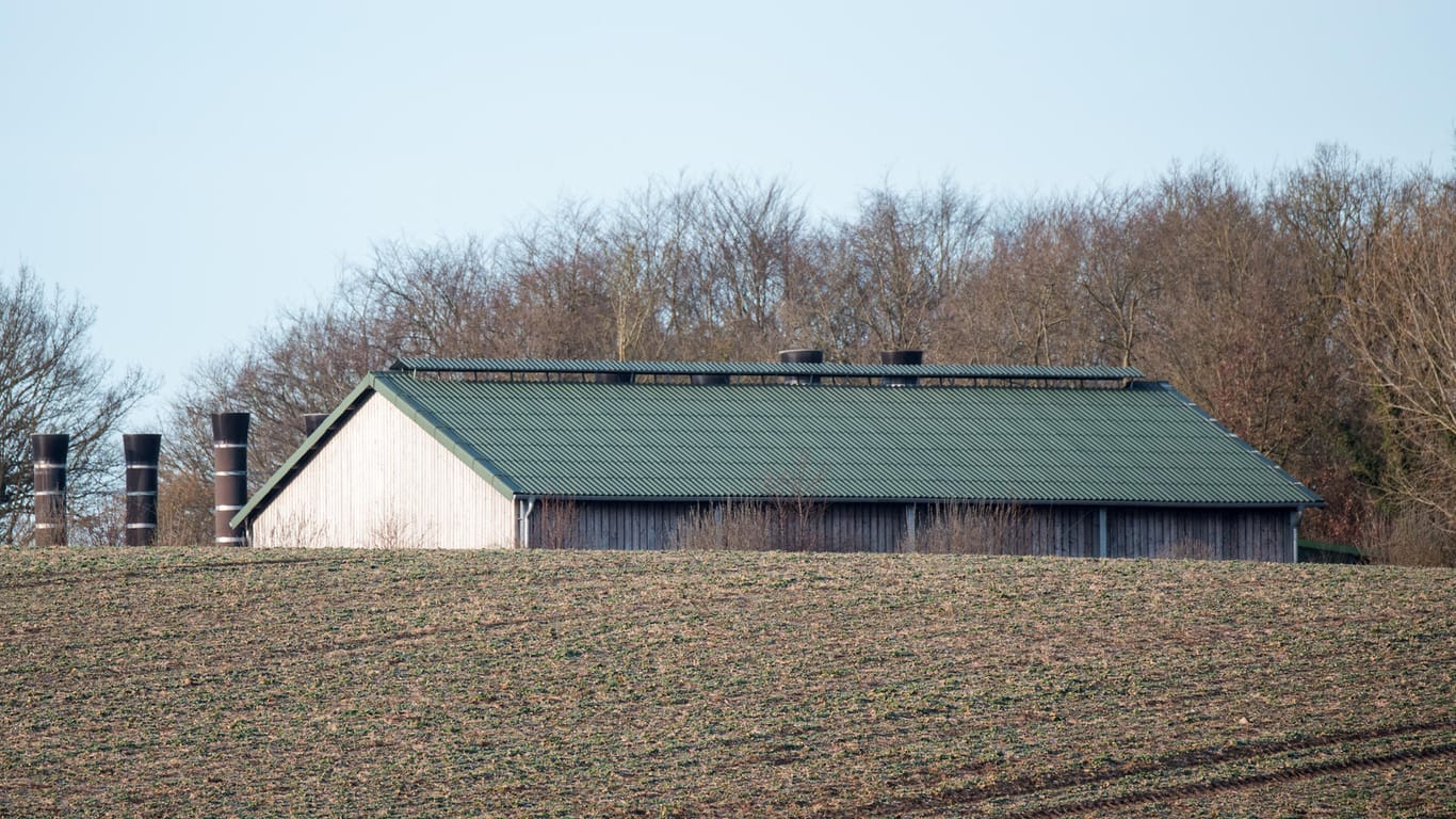 Blick auf einen Geflügelbetrieb im Kreis Plön: In dem landwirtschaftlichen Betrieb müssen nach dem Geflügelpest-Ausbruch alle Legehennen gekeult werden.