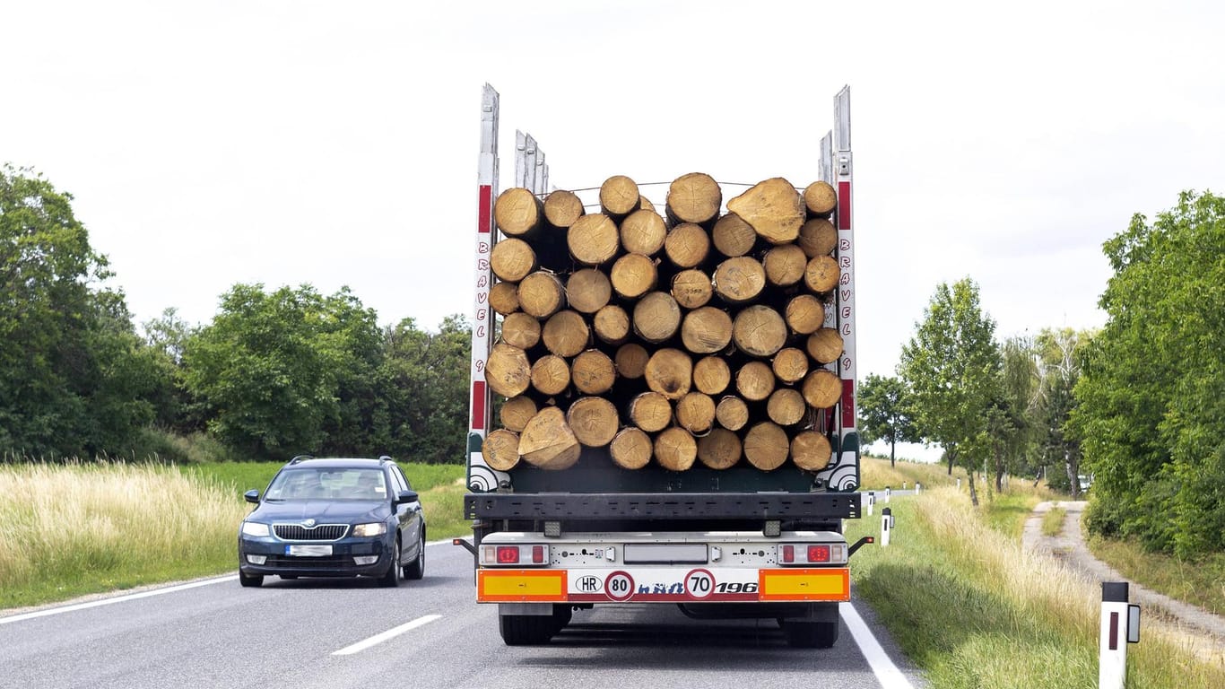 Ein Lkw transportiert Baumstämme: Die Polizei hat einen überladenen Holztransporter gestoppt.