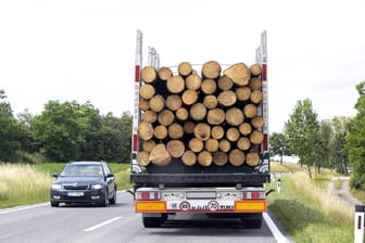 Ein Lkw transportiert Baumstämme: Die Polizei hat einen überladenen Holztransporter gestoppt.