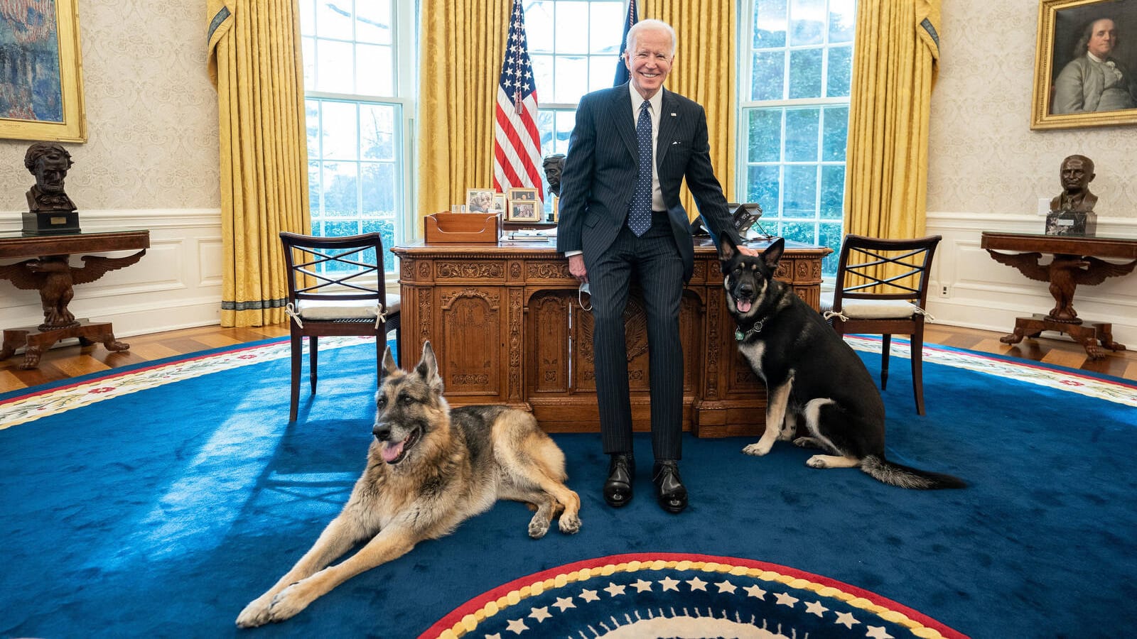 Joe Biden mit seinen Hunden Champ und Major im Oval Office: Die beiden Hunde dürfen ins Weiße Haus zurück.