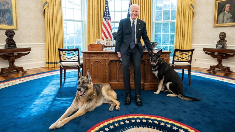 Joe Biden mit seinen Hunden Champ und Major im Oval Office: Die beiden Hunde dürfen ins Weiße Haus zurück.