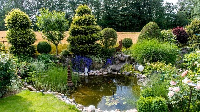 Form, Größe, Pflanzen: ein Gartenteich bietet vielfältige Gestaltungsmöglichkeiten.