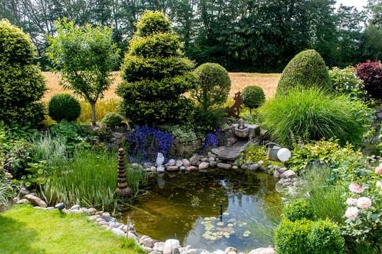 Form, Größe, Pflanzen: ein Gartenteich bietet vielfältige Gestaltungsmöglichkeiten.