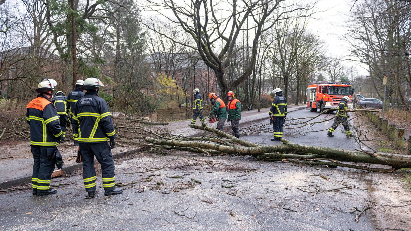 Hamburg: Feuerwehrleute beseitigen einen auf die Straße gestürzten Baum.