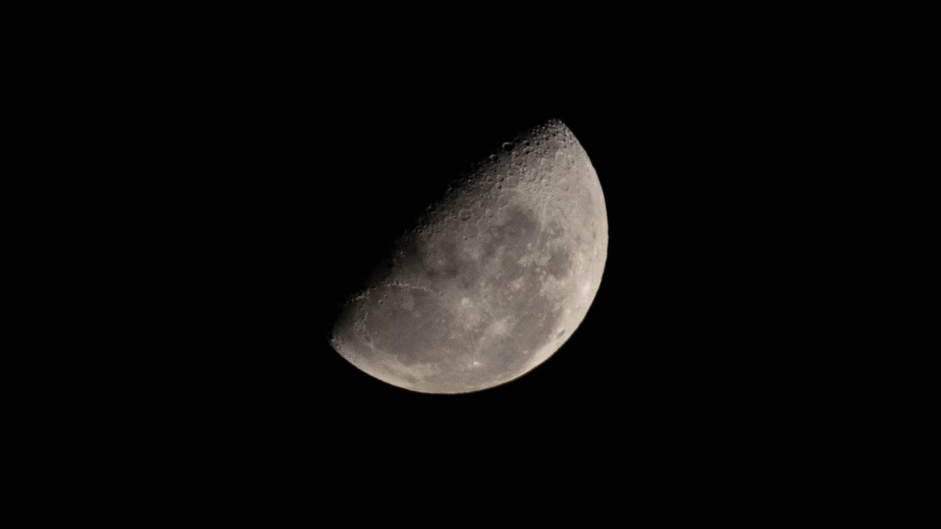 Mond: Die Samenbanken sollen in Mondgruben eingelassen werden (Symbolbild).