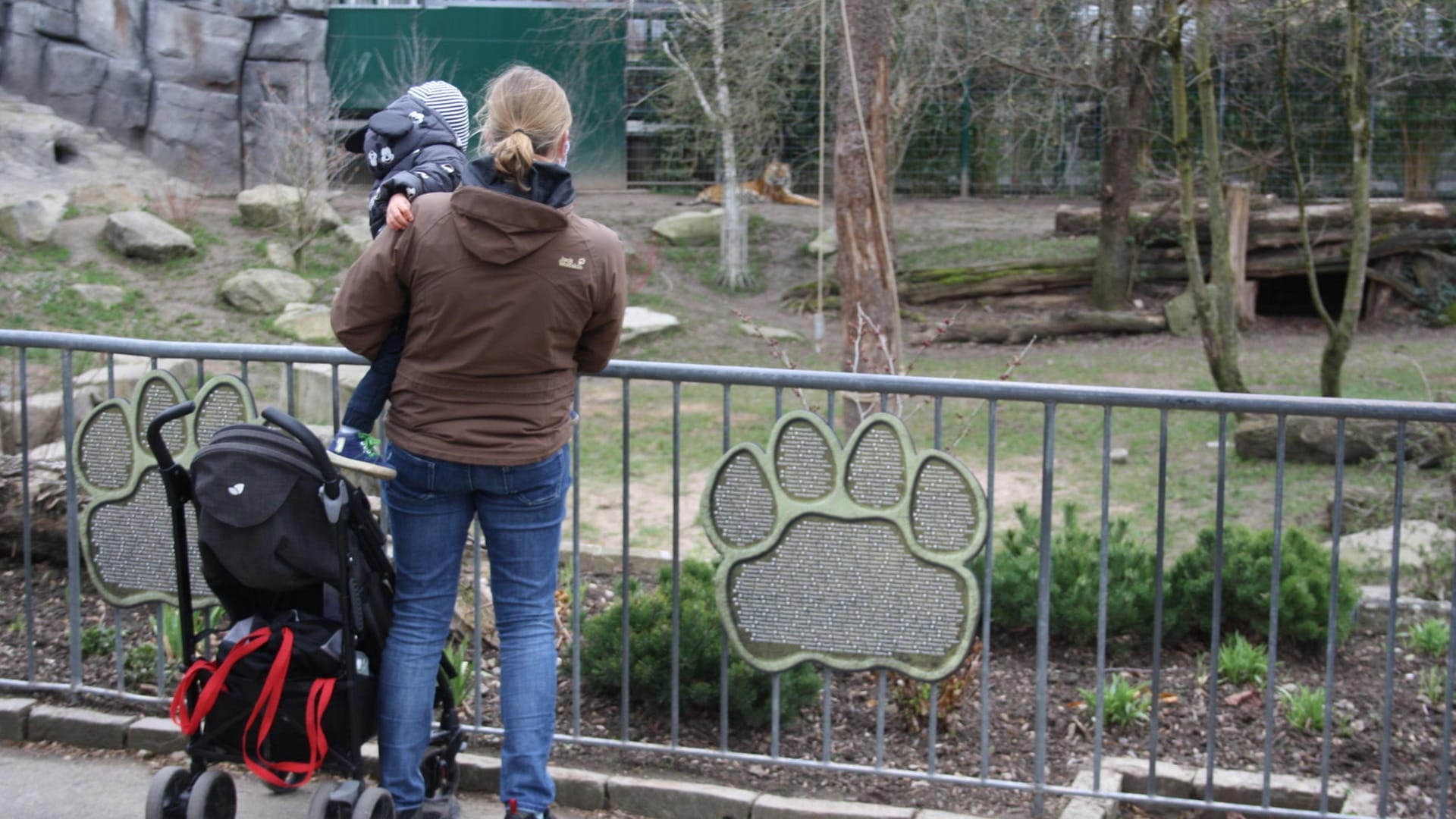 Der Tiger hielt sich am ersten Tag der Öffnung noch im Hintergrund.