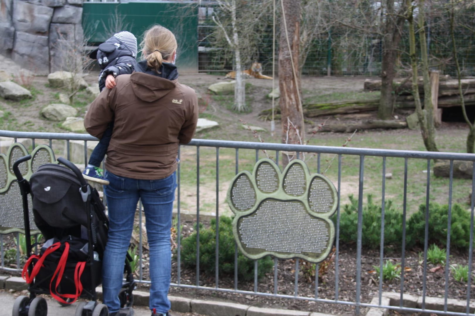 Der Tiger hielt sich am ersten Tag der Öffnung noch im Hintergrund.