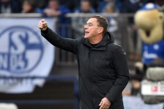 Ralf Rangnick arbeitete bereits von 2004 bis 2005 sowie im Jahr 2011 als Trainer beim FC Schalke 04.