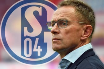 Ralf Rangnick: Der Ex-Trainer könnte verschiedenen Medien zufolge als Sportchef auf Schalke zurückkehren.