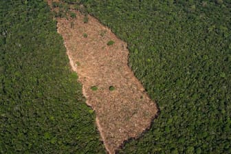 Blick auf ein abgeholztes Waldstück in der Mitte eines Waldgebietes im Amazonasgebiet.