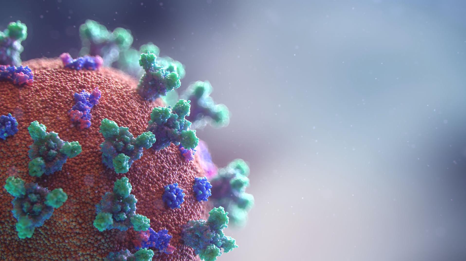 Animation des Coronavirus: Intensivmediziner fordert wieder strengere Beschränkungen der Kontakte.