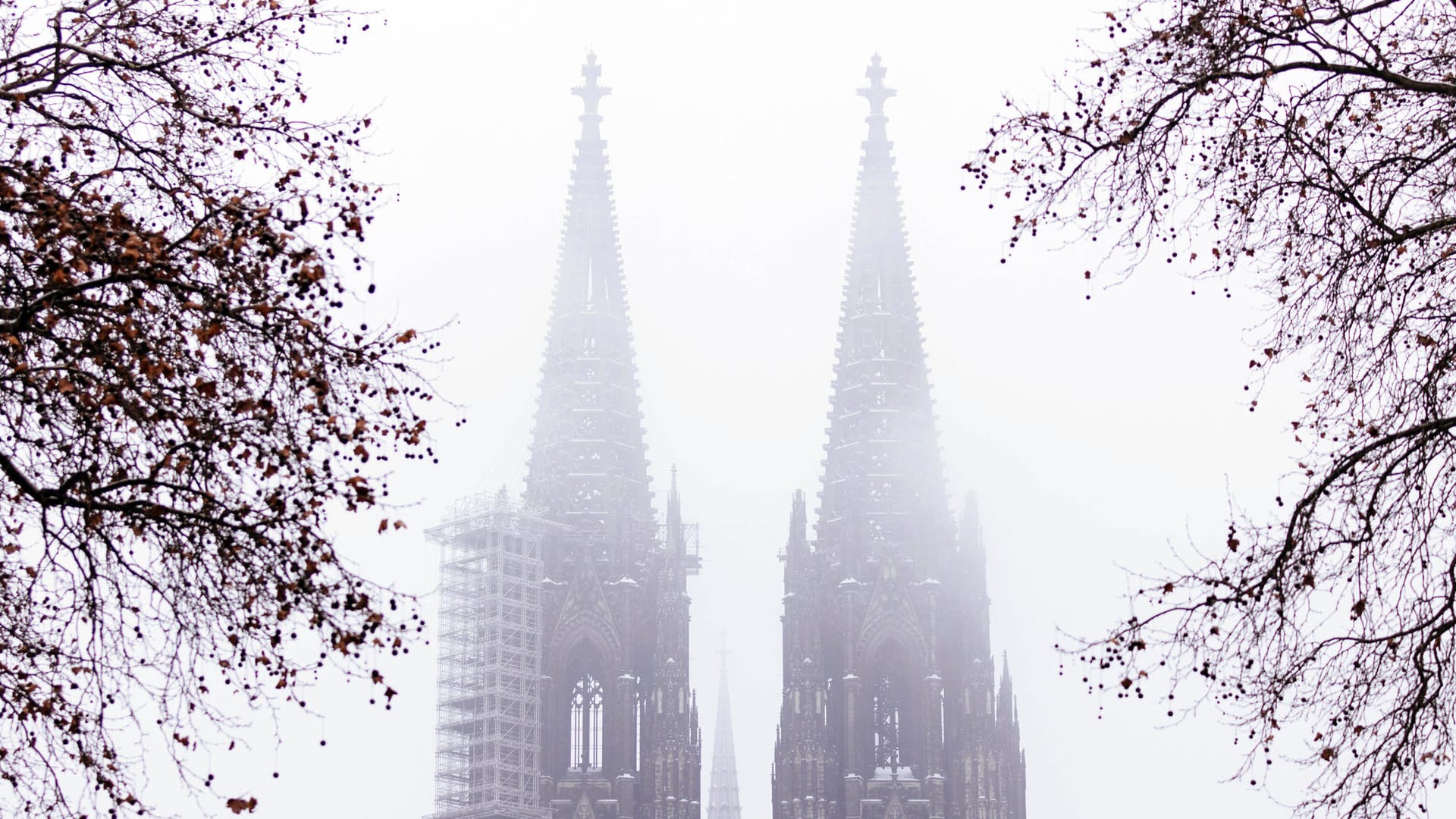 Der Kölner Dom im Nebel: Am Donnerstag wird das mit Spannung erwartete Missbrauchsgutachten des Kölner Erzbistums veröffentlicht.