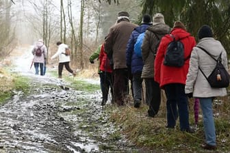 Eine Senioren-Wandergruppe unterwegs auf dem Hohen Gras bei Kassel.