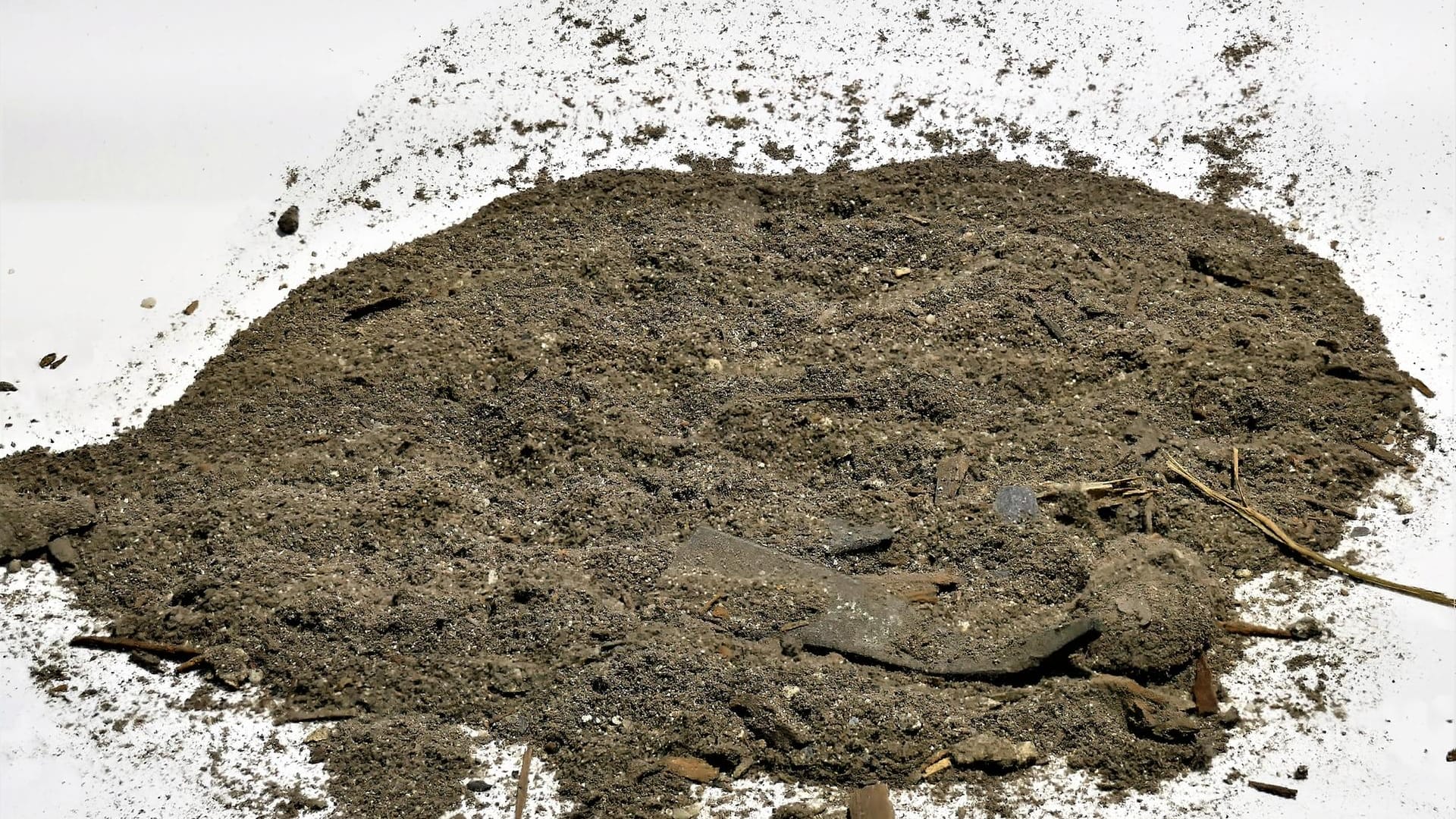 Der Staub aus dem Kölner Dom heute (2021): Was für viele einfach nur nach Schmutz aussieht, ist für Stöcker eine Leidenschaft.