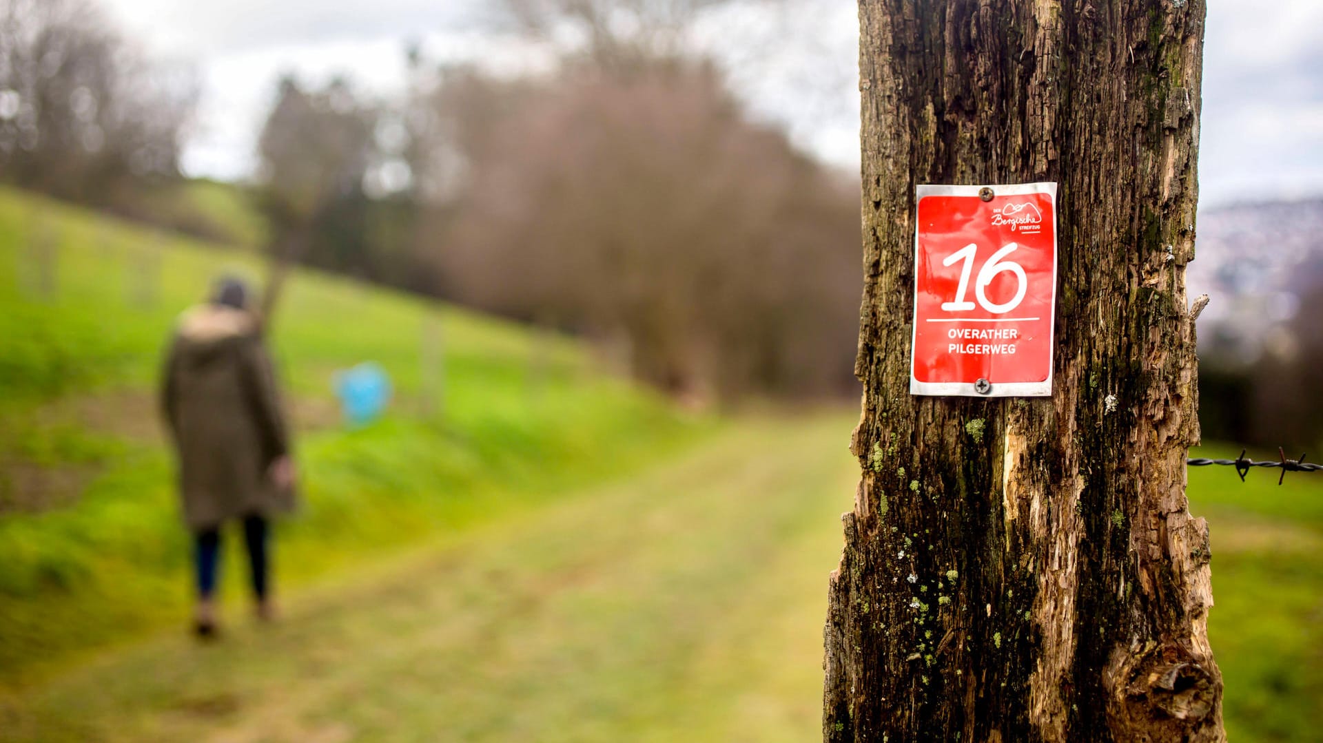 Eine Frau auf dem Overather Pilgerweg im Bergischen Land: Rund um Köln gibt es viele Wanderwege für Tagesausflügler.