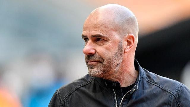 Will endlich für vorzeigbare Resultate sorgen: Leverkusens Trainer Peter Bosz. Will endlich für vorzeigbare Resultate sorgen: Leverkusens Trainer Peter Bosz.