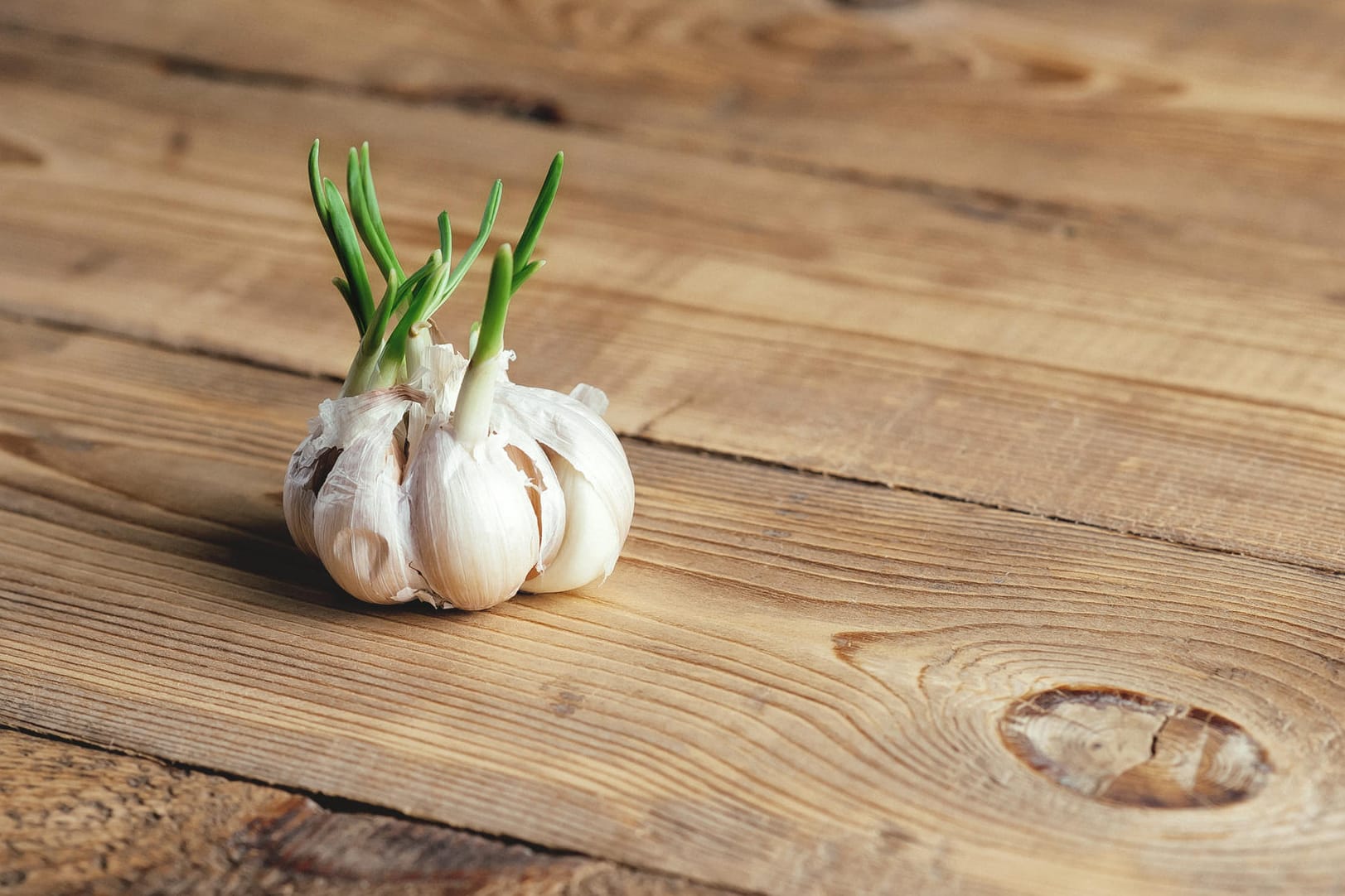 Keimender Knoblauch: Zu schade für die Tonne