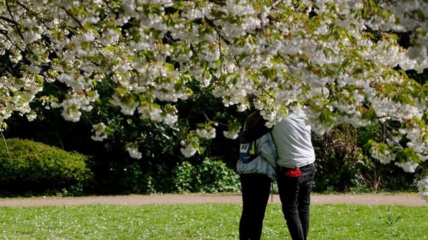 Unter blühenden Bäumen umarmen sich ein Mann und eine Frau in einem Park an der Außenalster.