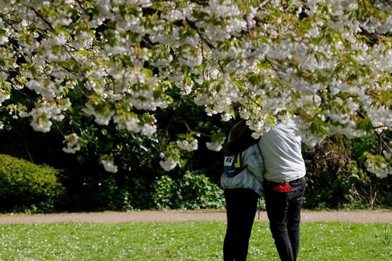 Unter blühenden Bäumen umarmen sich ein Mann und eine Frau in einem Park an der Außenalster.