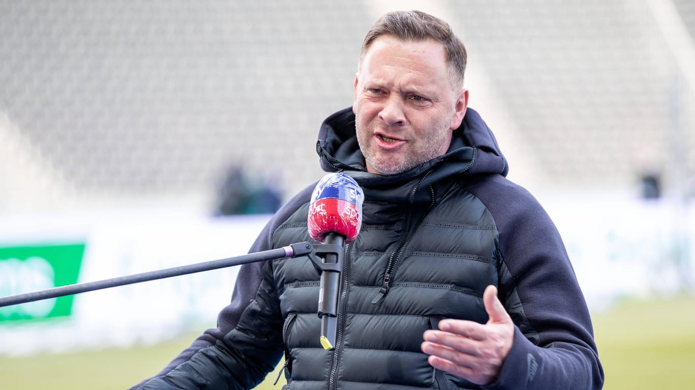 Pál Dardai: Der Hertha-Trainer nahm vor dem Spiel gegen Leverkusen seinen Sohn in Schutz.