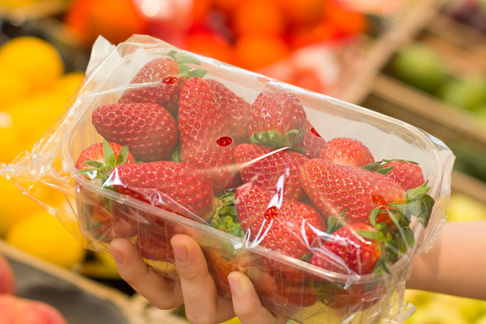 Erdbeeren: Die Früchte, die es jetzt schon zu kaufen gibt, stammen oft aus Spanien.