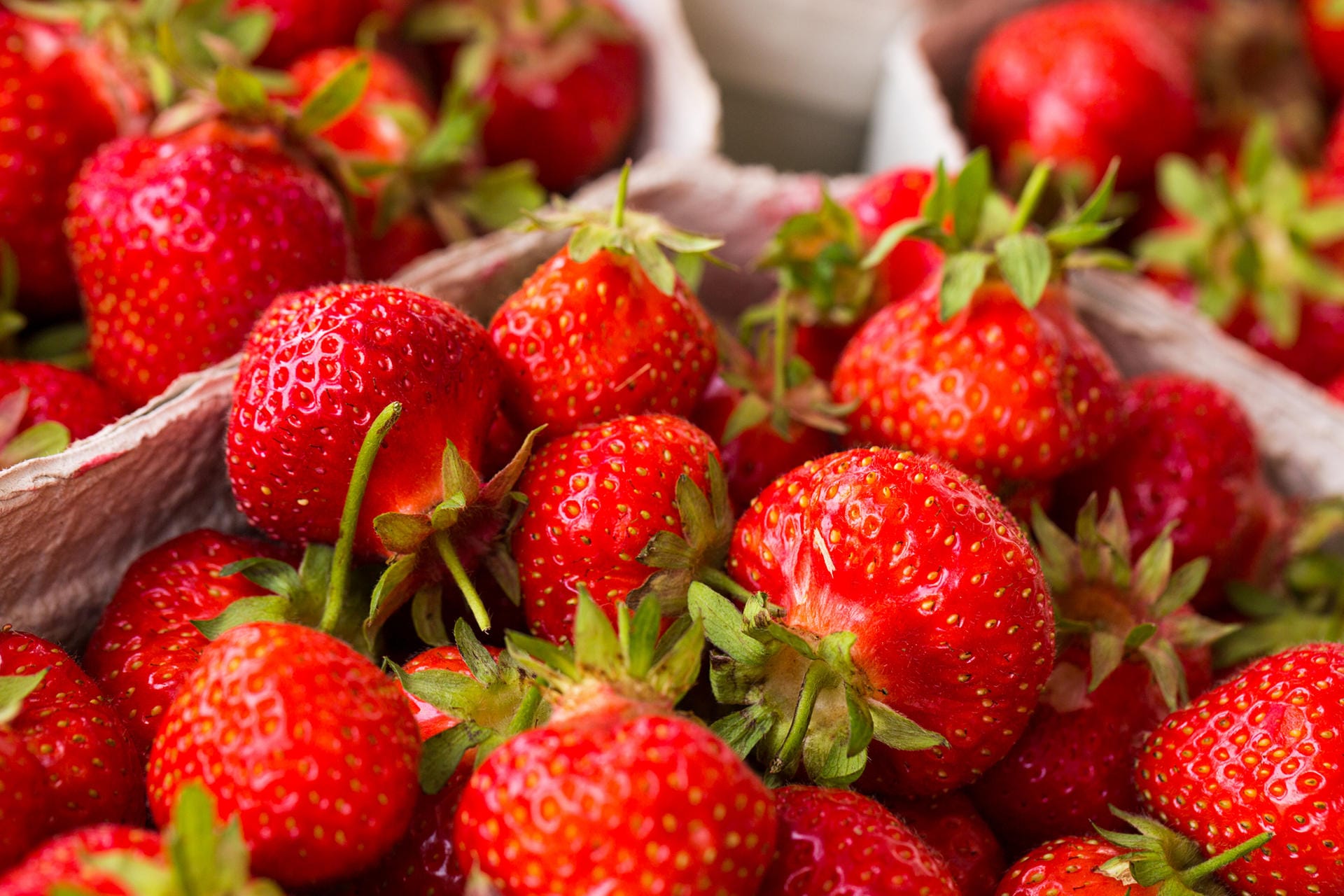 Erdbeeren: Am besten kaufen Sie heimische Biofrüchte.