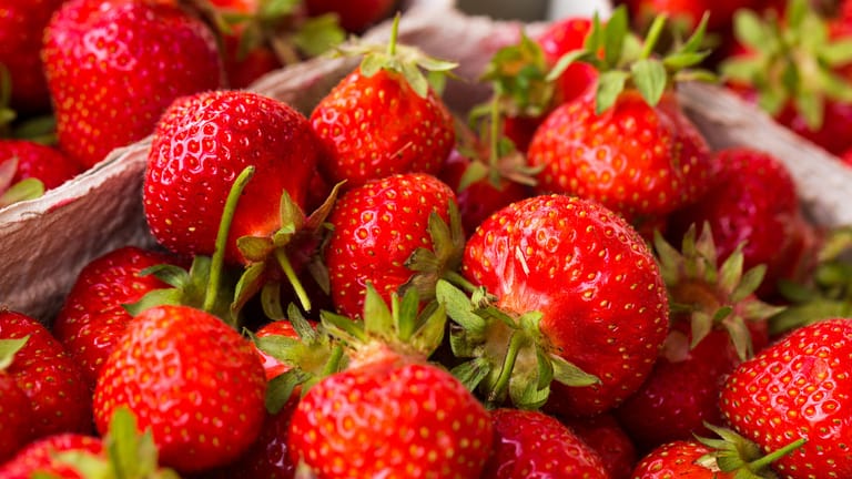 Erdbeeren: Am besten kaufen Sie heimische Biofrüchte.
