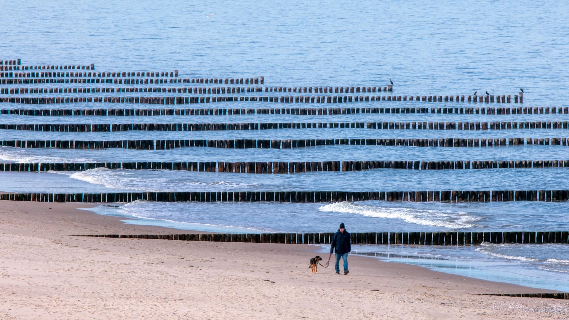 Leerer Ostseestrand: Das Ostergeschäft ist für die Reisebranche bereits gelaufen.