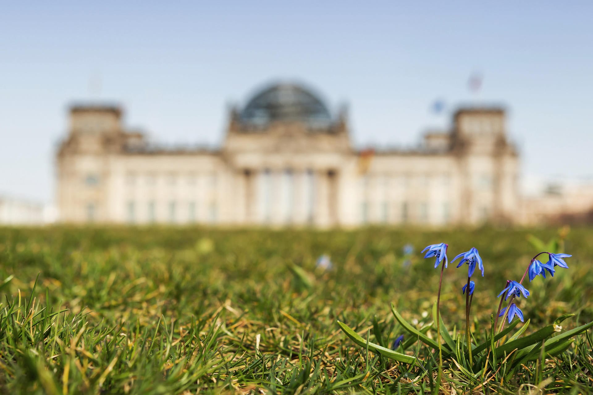 Reichstag in Berlin im Frühling