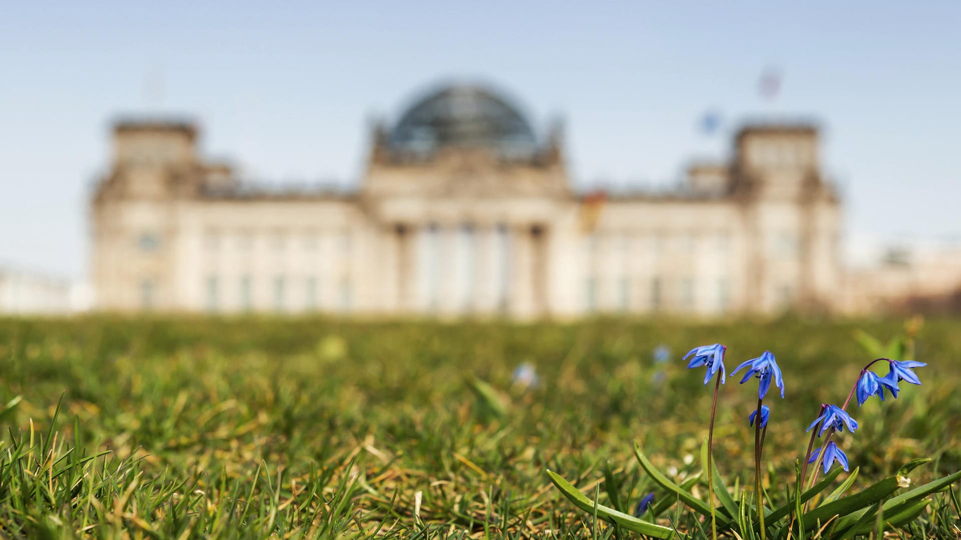 Reichstag in Berlin im Frühling