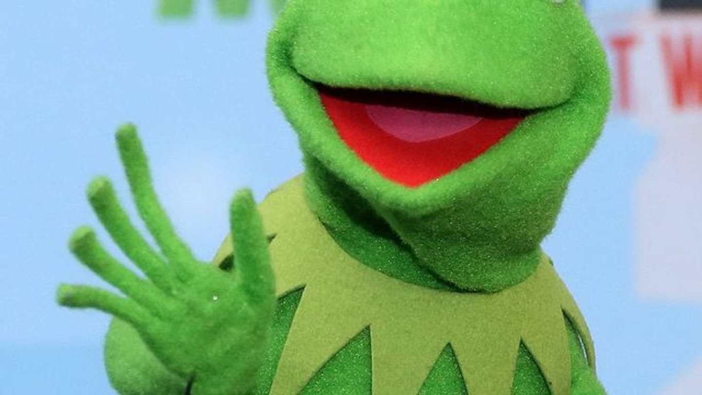 Kermit ist der erste Frosch, der ins Musik-Register der USA aufgenommen wurde.