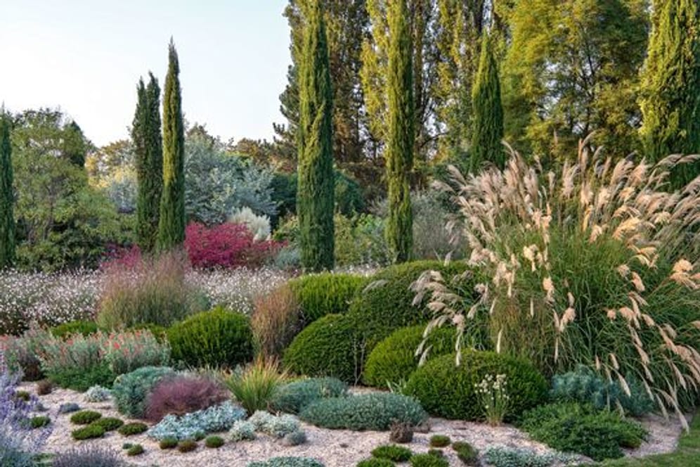2019 veränderte Gartendesigner Peter Janke in seinem Garten die Bepflanzung - weg vom Rasen, der im Sommer vertrocknete, hin zu trockenheitsverträglichen Pflanzen und Sandmulch.