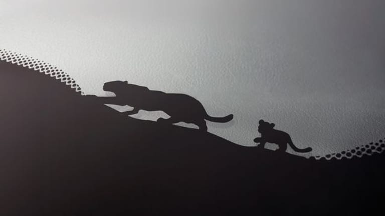 Folgt der Mama auf der Pfote: Ein Katzengespann geht entlang des schwarzen Scheibenrands bei Jaguar auf Pirsch.