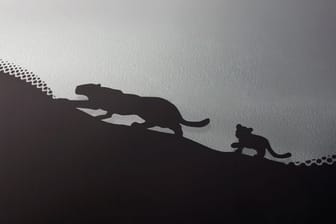 Folgt der Mama auf der Pfote: Ein Katzengespann geht entlang des schwarzen Scheibenrands bei Jaguar auf Pirsch.
