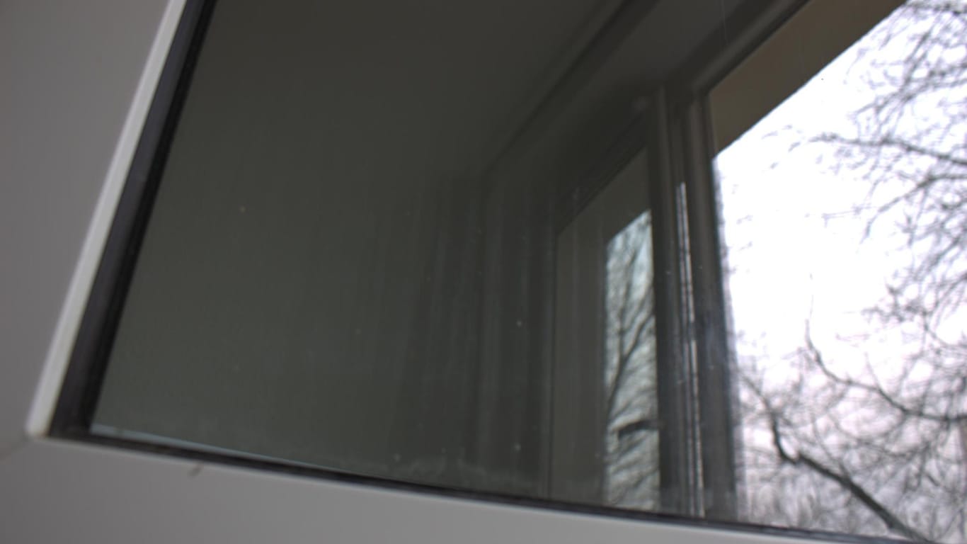 Fenster: Der Akku-Fenstersauger von Kärcher hinterlässt teilweise Spuren auf dem Fenster (links).